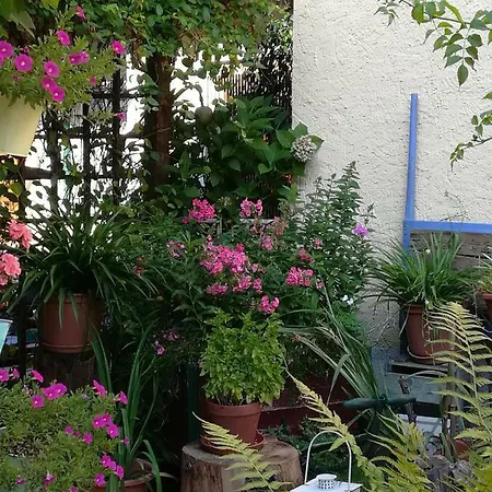 Casa vacanze Haus Polinikblick *