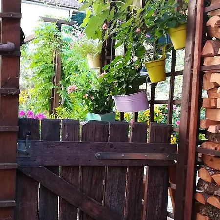Haus Polinikblick Casa vacanze Kotschach-Mauthen