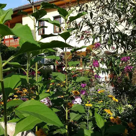 Haus Polinikblick